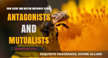 Scent and Nectar: Shaping Floral Antagonist and Mutualist Interactions