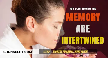 Scents, Emotions, and Memories: Unraveling the Fragrant Threads of Recall