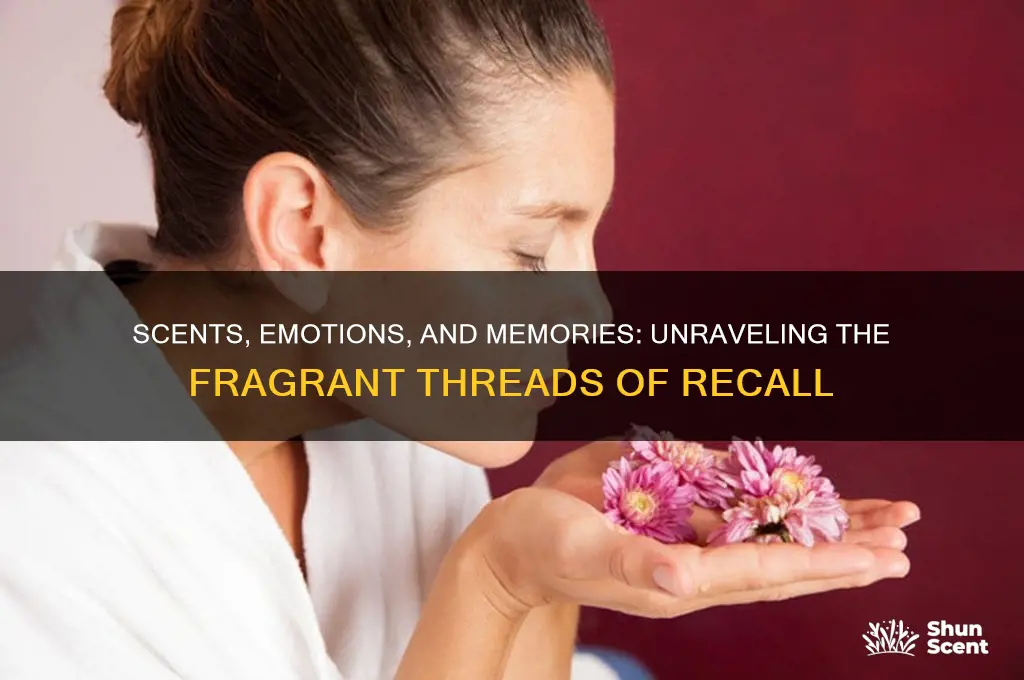 how scent emotion and memory are intertwined