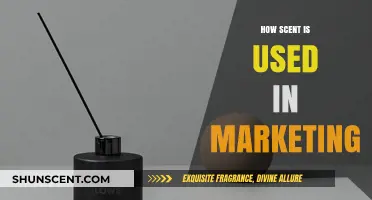 The Power of Scent: How Aromas Influence Consumer Behavior in Marketing