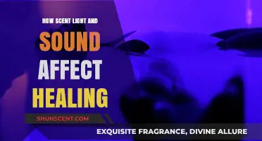 Sensory Healing: How Scent, Light, and Sound Boost Recovery