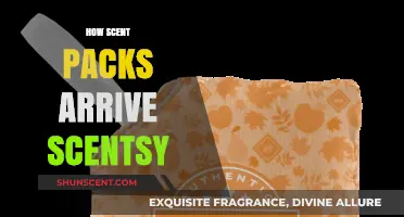 Discover How Scentsy Scent Packs Arrive: A Fragrant Journey Explained