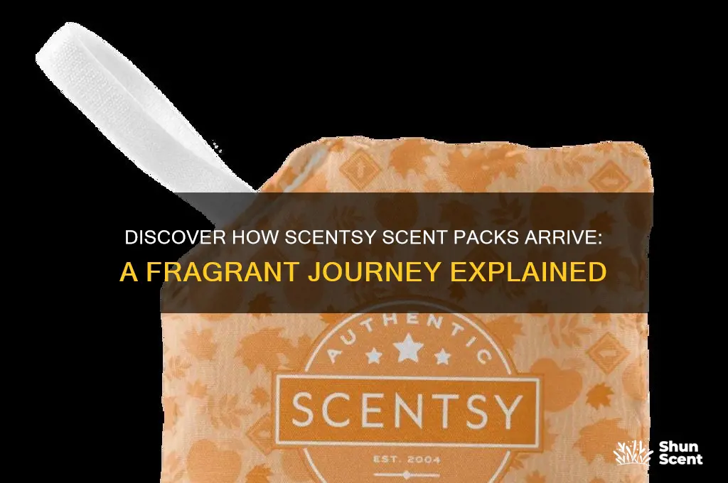 how scent packs arrive scentsy