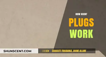 Understanding Scent Plugs: How They Work and Freshen Your Space
