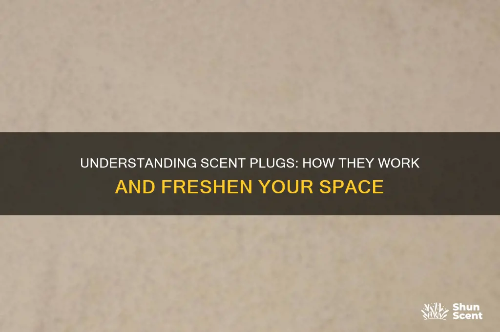 how scent plugs work