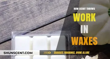 Unveiling the Science: How Scent Throws Work in Wax Melts