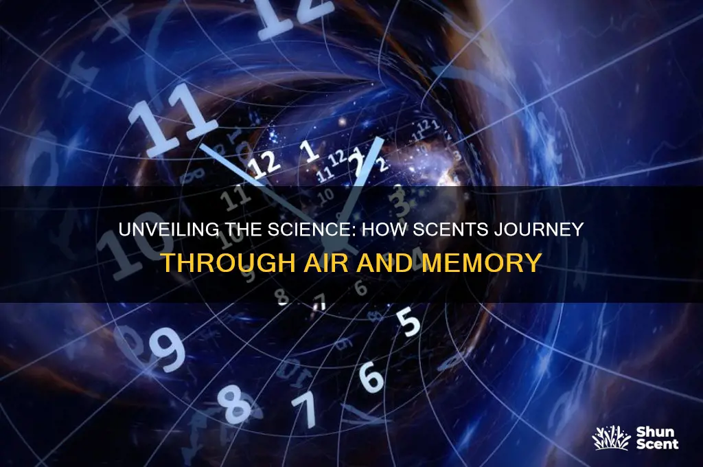 how scent travels