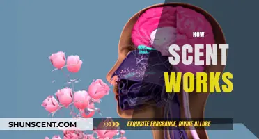 Unveiling the Science: How Scents Travel and Trigger Memories