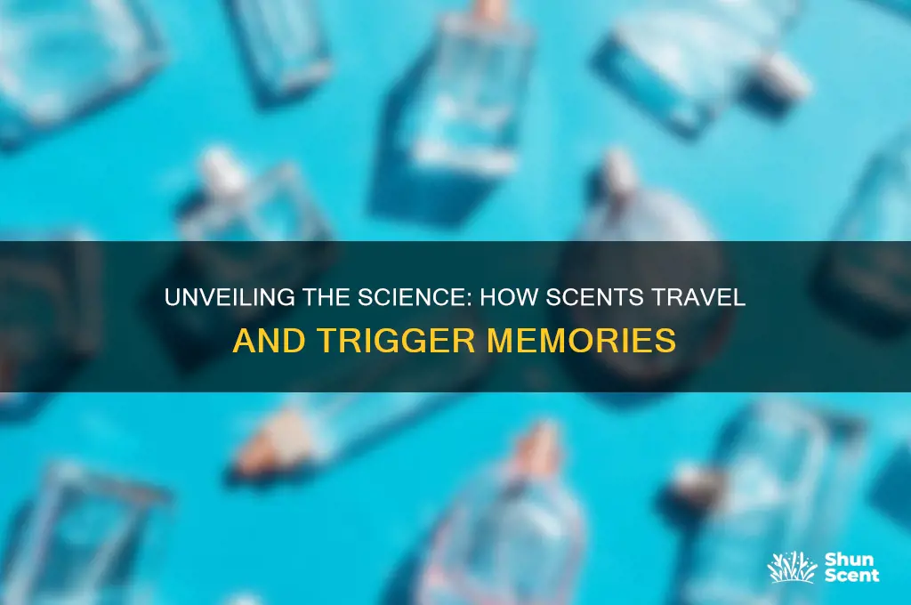 how scent works