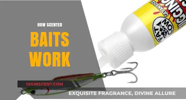 Unveiling the Science Behind Scented Baits: How They Attract Fish