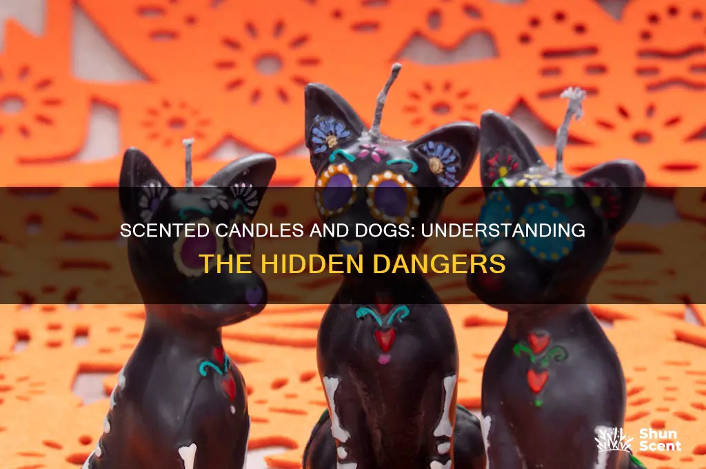 how scented candles affect dogs