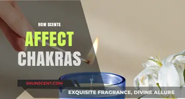 Aromatic Balance: How Scents Influence and Align Your Chakras