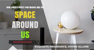Scents and Sensibilities: How Aromas Shape Moods and Spaces
