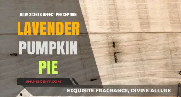 Lavender Pumpkin Pie: How Scents Shape Our Perception and Experience