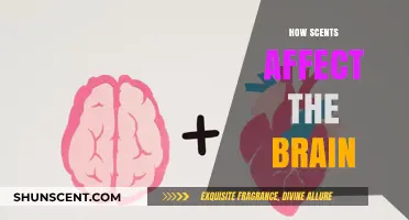 The Power of Scents: Unlocking Brain Responses and Emotional Connections