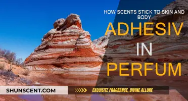 Scents and Skin: The Science of Perfume Adhesion