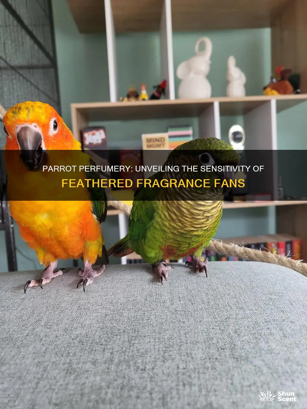 how sensative are parrots to fragrance