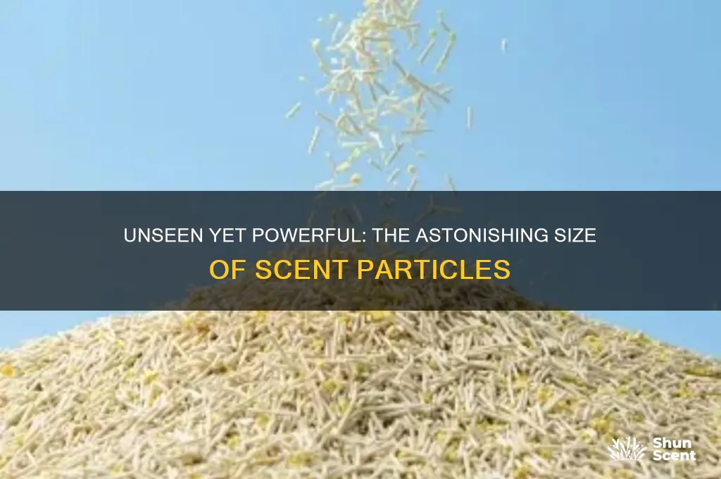 how small are scent particles