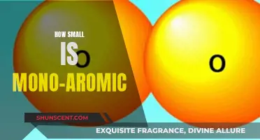 The Smallest Things: Unseen Mono-aromatic Molecules