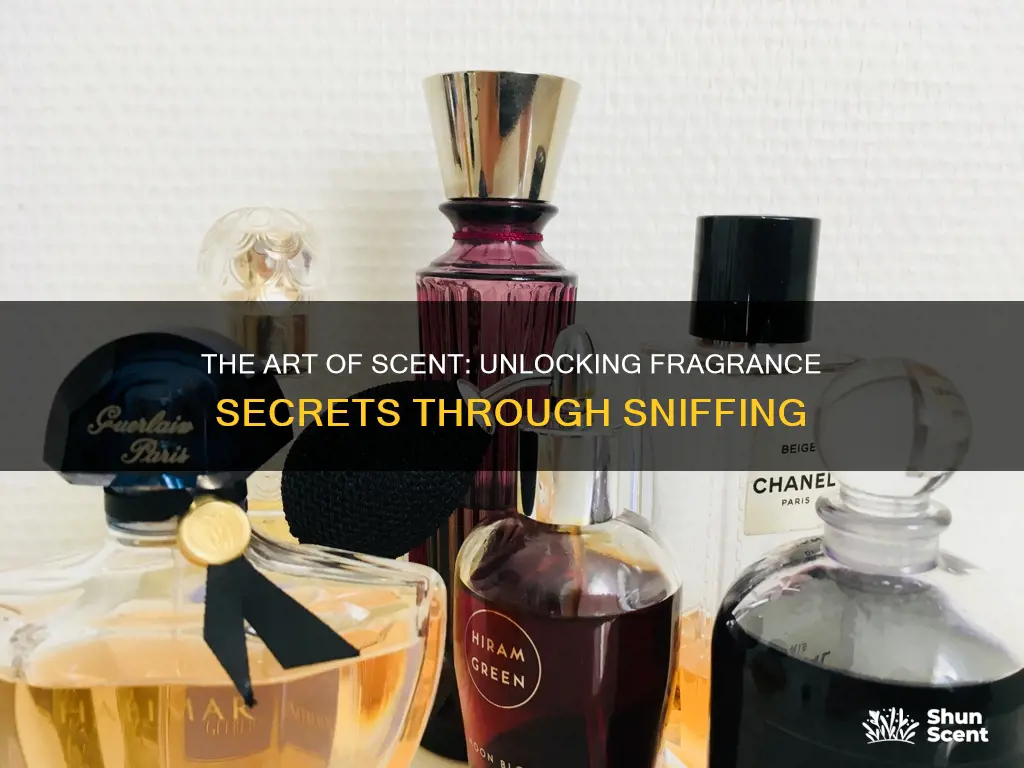 how sniffing fragrances