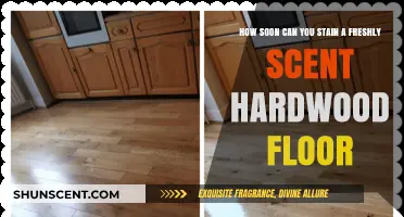 Staining Freshly Sanded Hardwood Floors: Timing Tips for Perfect Results