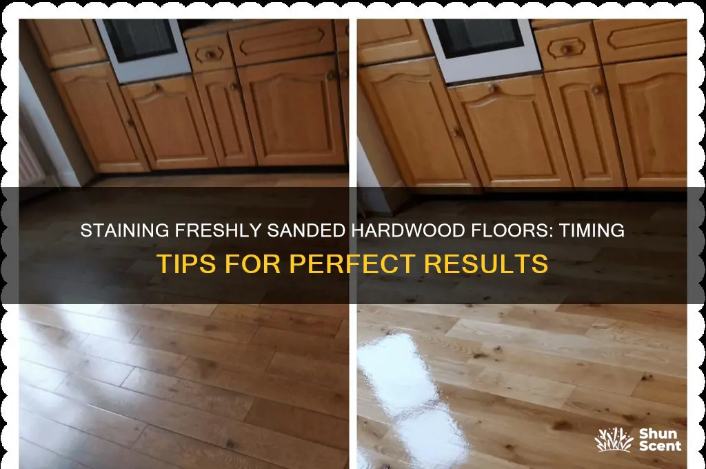 how soon can you stain a freshly scent hardwood floor