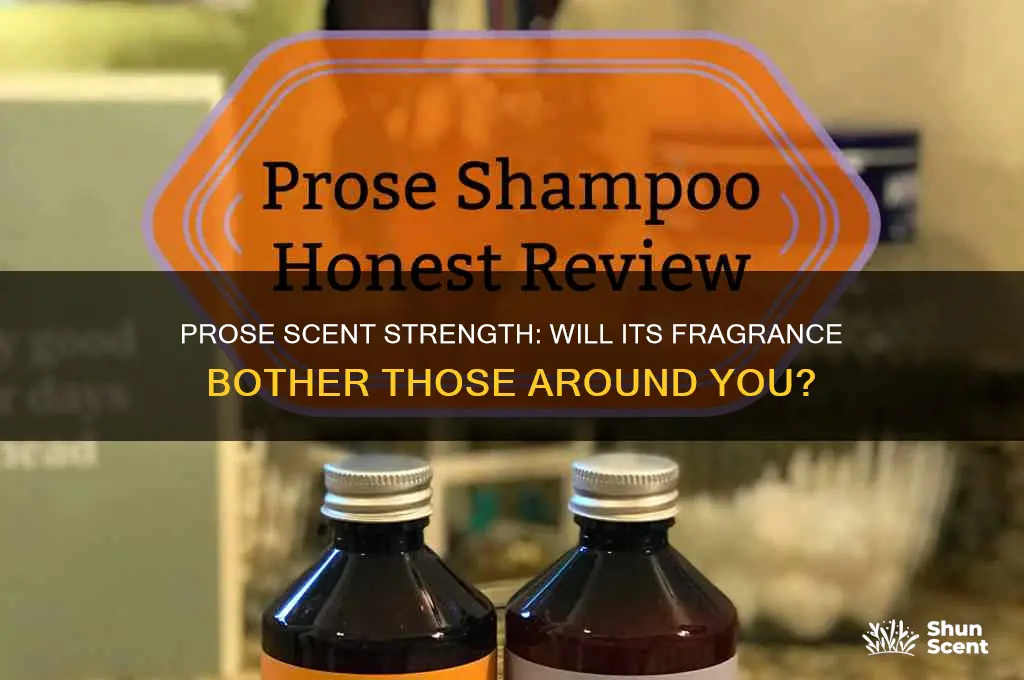 how strong does prose scent smell wilp ot bother others