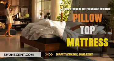 Entice Pillow Top Mattress: Unveiling the Strength of Its Fragrant Allure