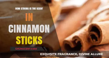 Exploring the Potent Aroma of Cinnamon Sticks: Strength and Sensory Impact