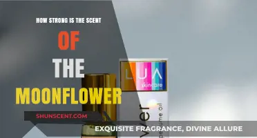 Moonflower's Mystique: Unveiling the Potency of Its Nighttime Fragrance