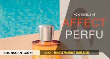Sunlight and Scents: The Impact of Sun on Perfumes
