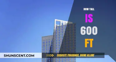 Understanding the Impressive Height of 600 Feet: A Visual Guide