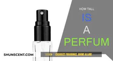 The Perfect Height: Standard Perfume Bottle Dimensions