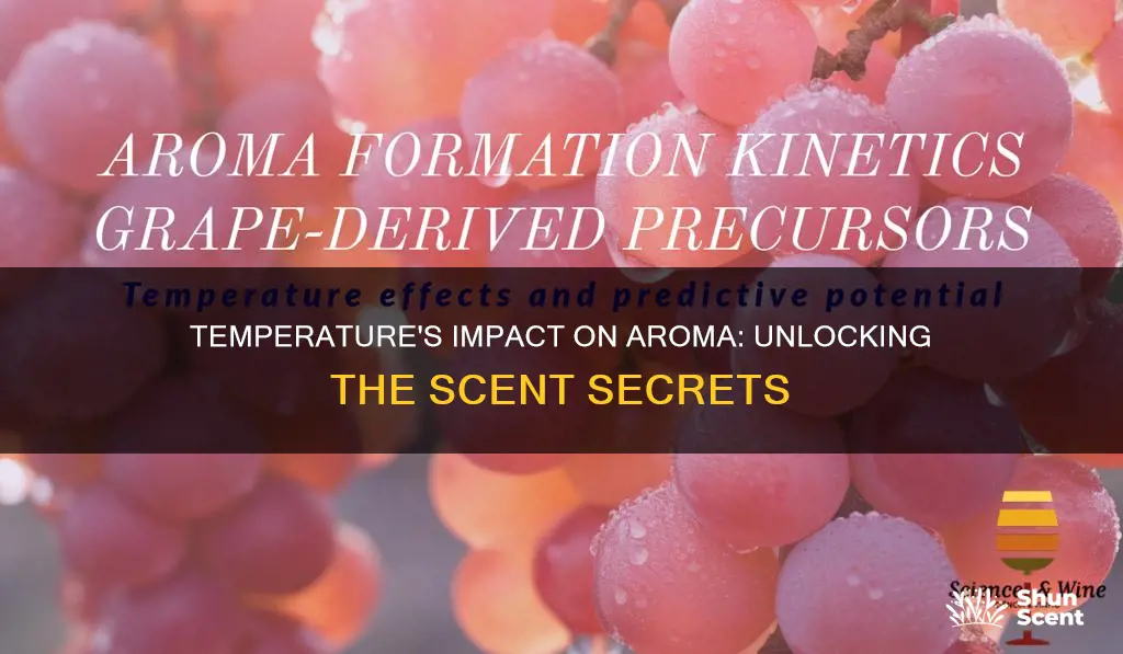 how temperature affects aroma production