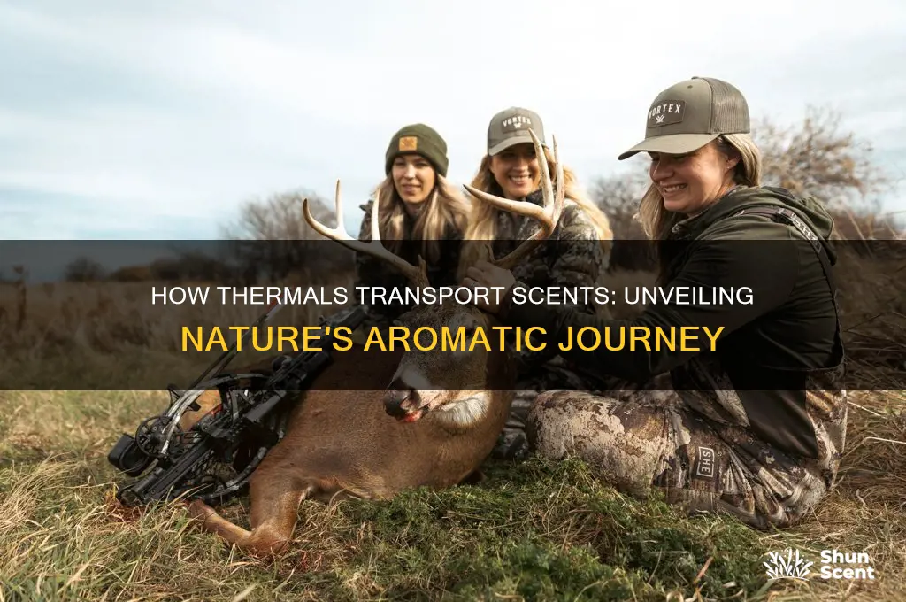 how termals carry scent