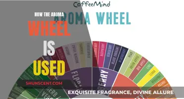 Unlocking Aromas: Navigating the Aroma Wheel