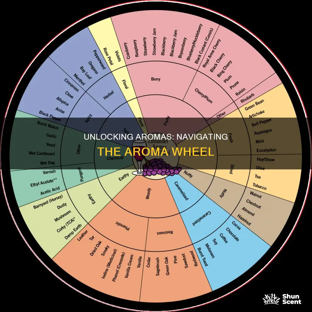 how the aroma wheel is used