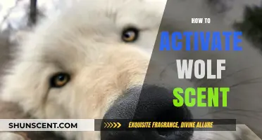 Mastering Wolf Scent Activation: A Step-by-Step Guide for Beginners