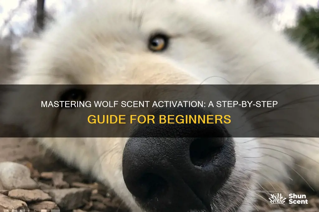 how to activate wolf scent