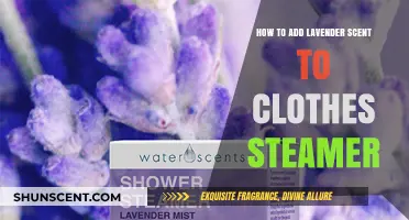 Infuse Your Steamer: Adding Lavender Scent to Clothes Steaming