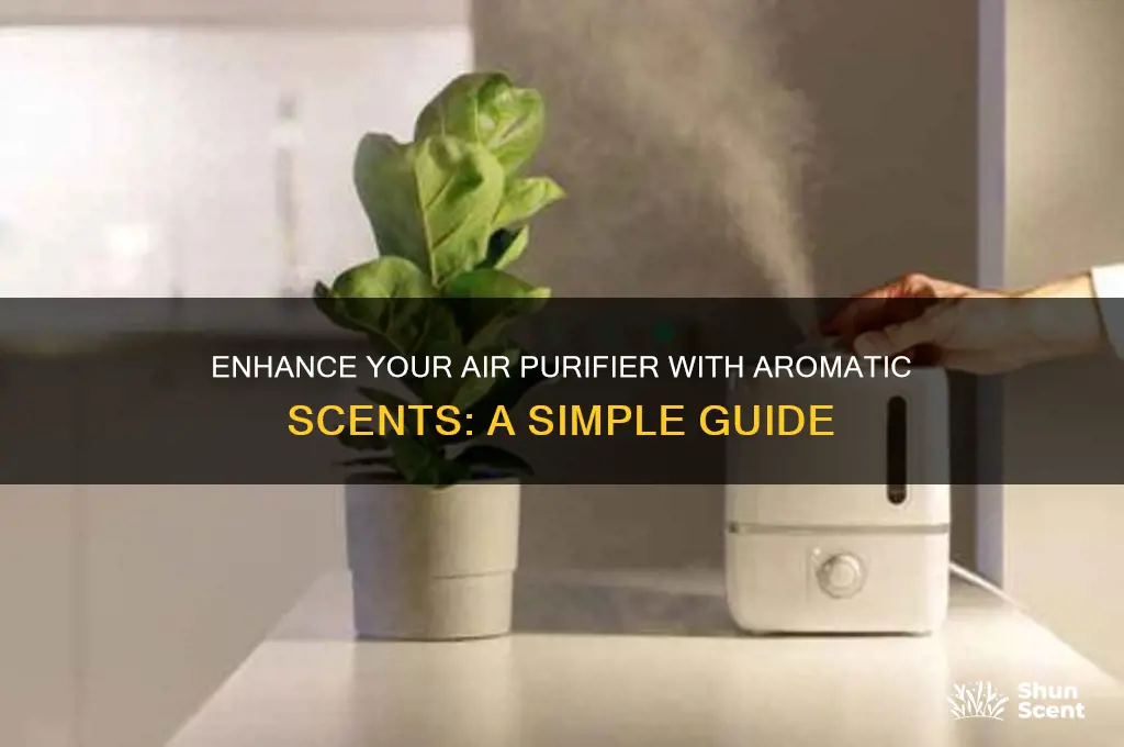 how to add scent to air purifier