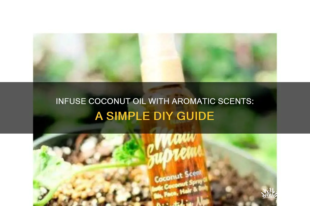 how to add scent to coconut oil