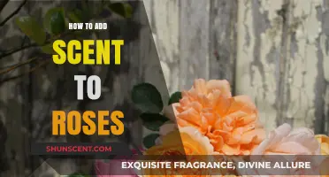 Enhance Your Roses: Simple Techniques to Add Lasting Fragrance