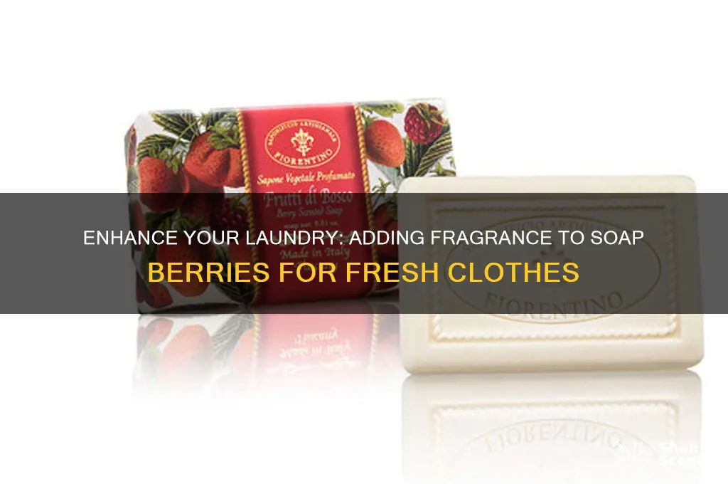 how to add scent to soap berries for laundry