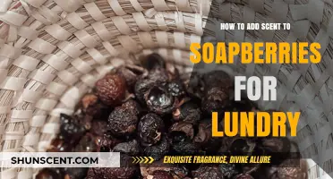 Enhance Your Laundry: Adding Fragrance to Soapberries for Fresh Clothes