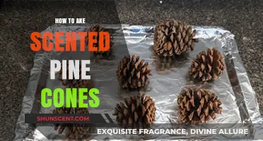 Crafting Fragrant Pine Cones: A Simple DIY Scented Guide