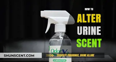 Effective Tips to Modify and Neutralize Urine Odor Naturally