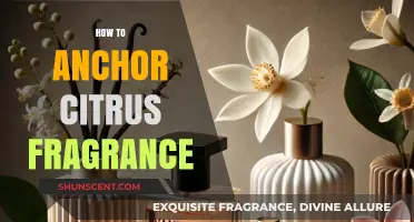 Capturing the Essence: A Guide to Anchoring Citrus Fragrance