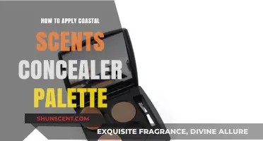 Mastering Flawless Skin: Coastal Scents Concealer Palette Application Guide