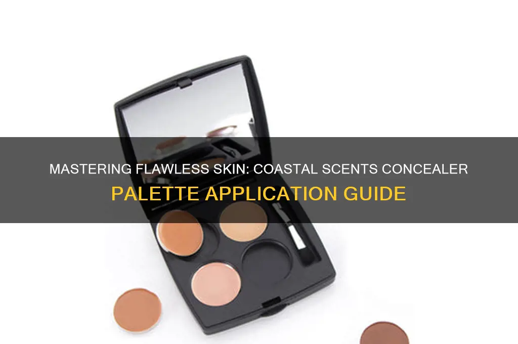 how to apply coastal scents concealer palette